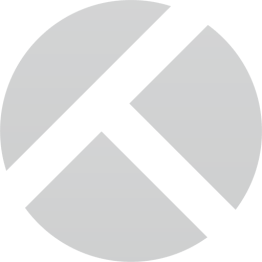 Ersatztragbolzen mit Fallringsicherung nach BMW-Norm ø 30 mm